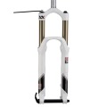 2012 Revelation XX Dual Position - 15mm Maxle - Remote Lockout