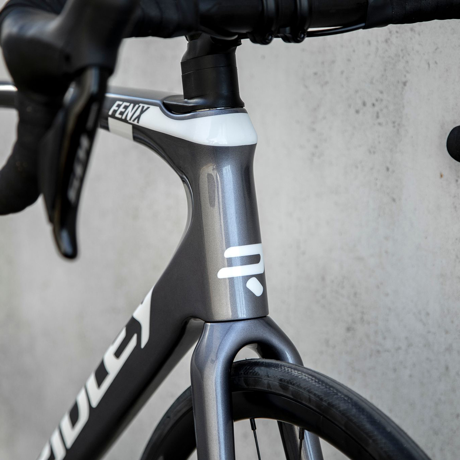 ridley carbon road bike