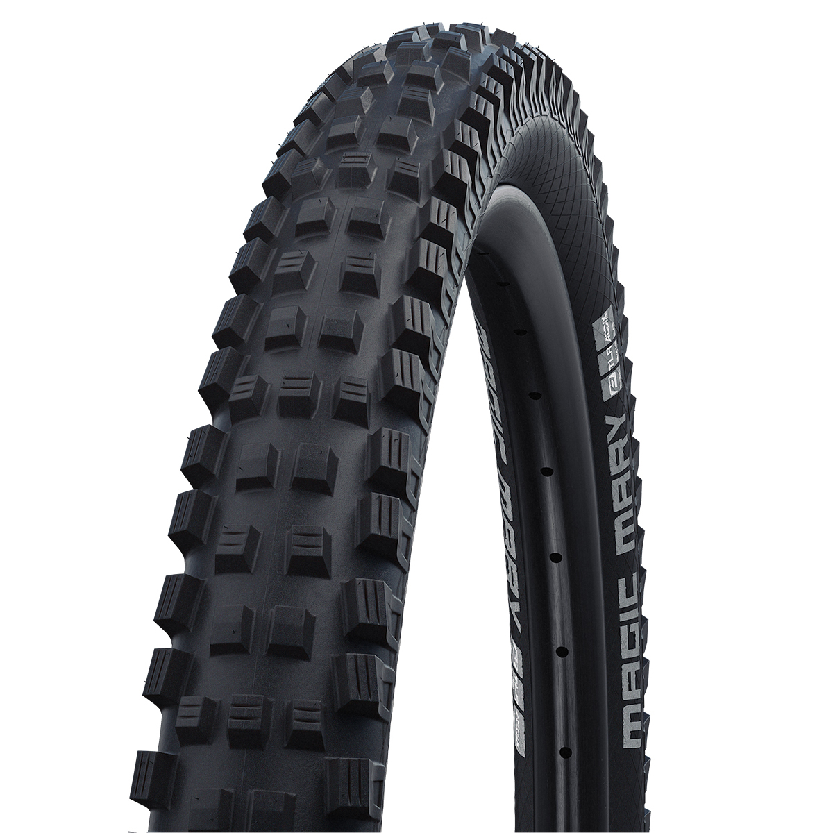 SCHWALBE MAGIC MARY タイヤ 2本セット シュワルベ MAGIC MARY 下り系マウンテンバイクタイヤのド定番をテスト