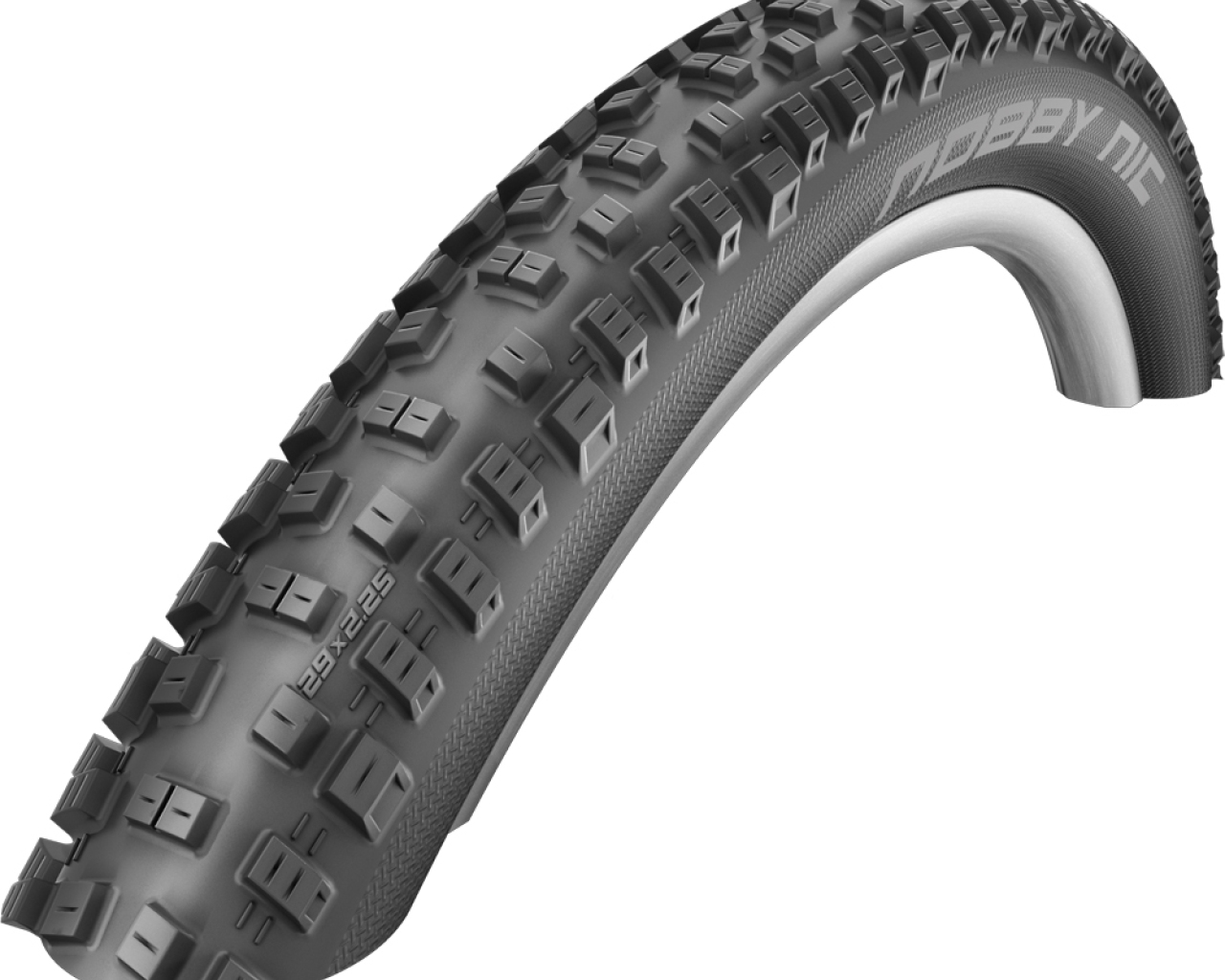 29 schwalbe