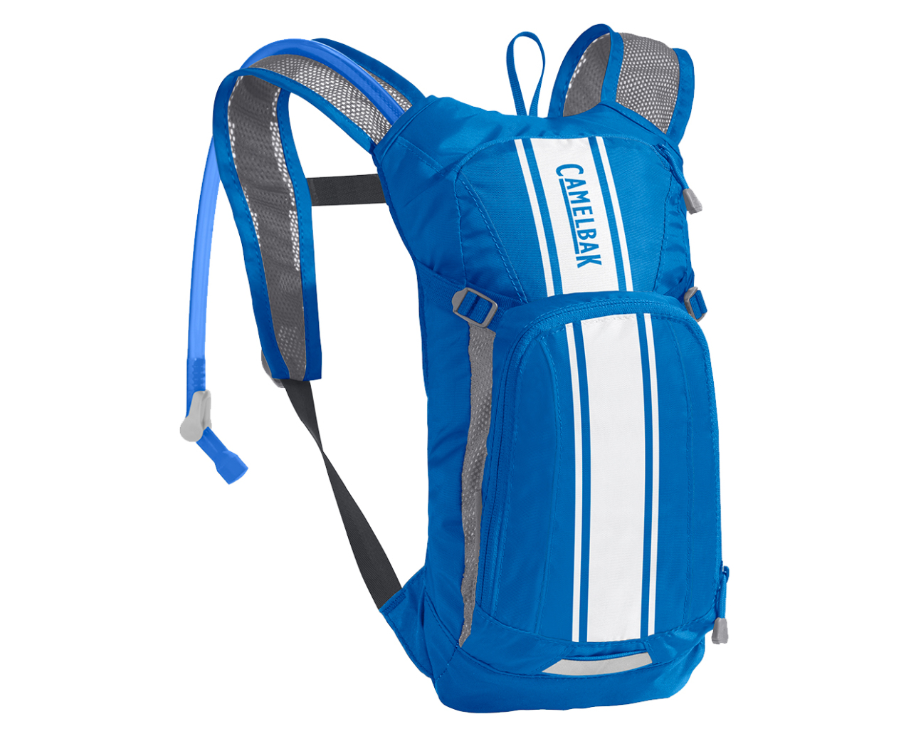 rei camelbak mini mule