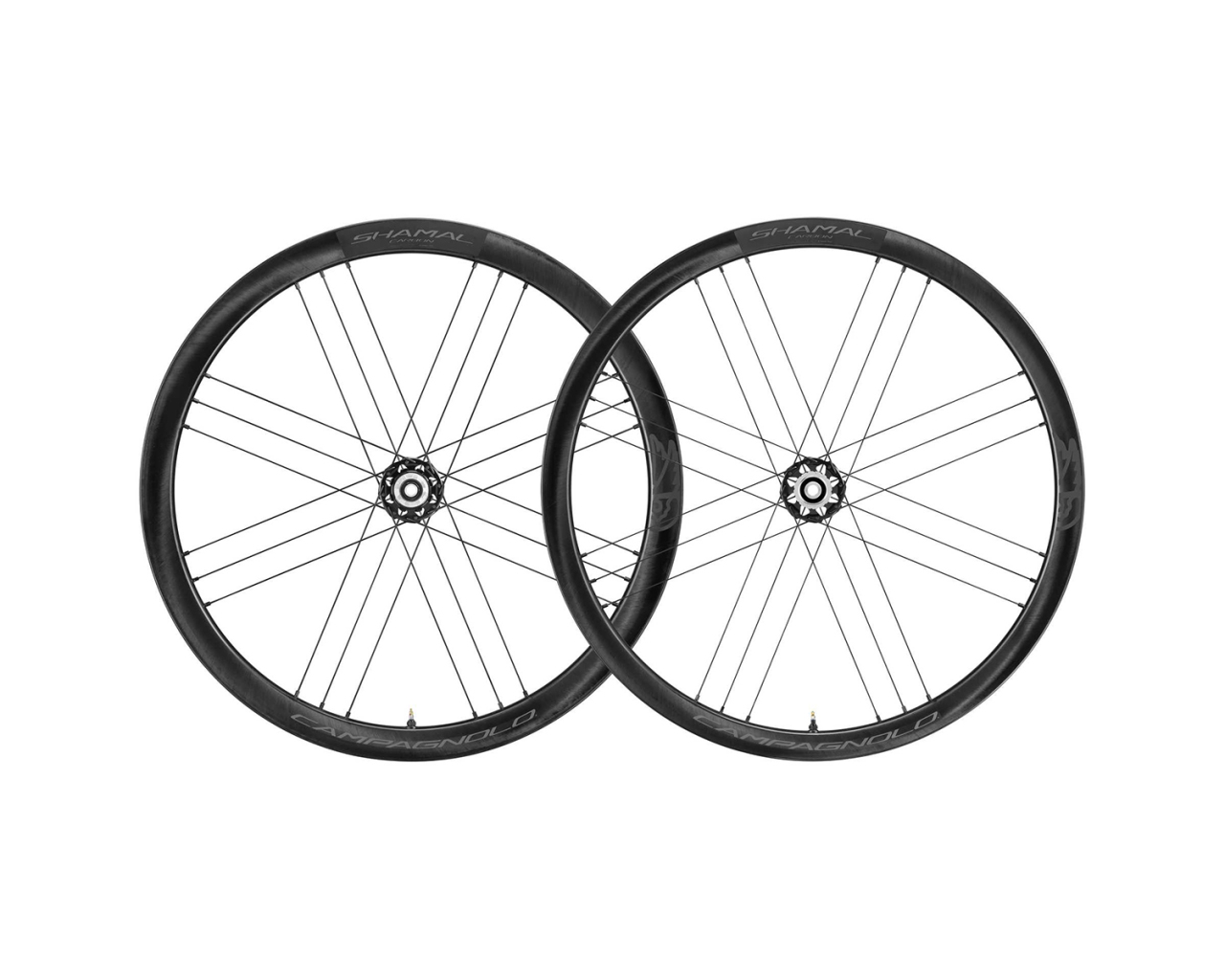 campagnolo shamal disc carbon