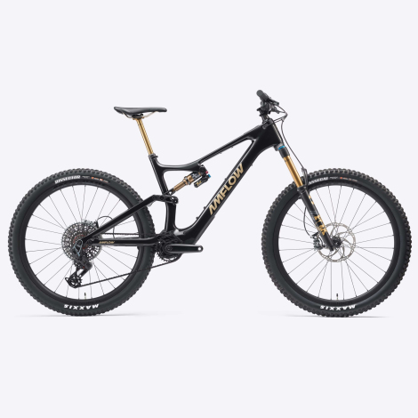 Amflow PL Carbon Pro E-Bike