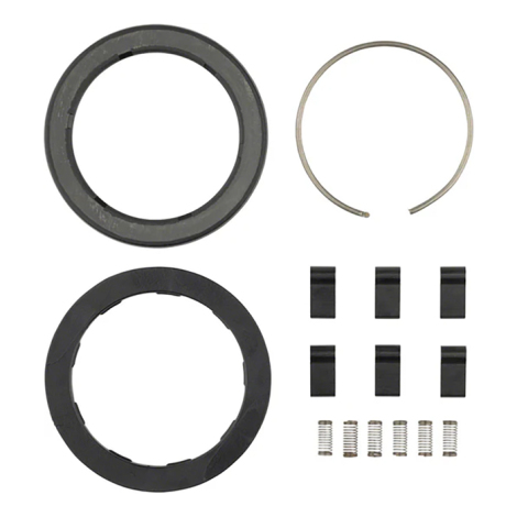 Zipp Spring And Pawl Set - ZR1 Hub