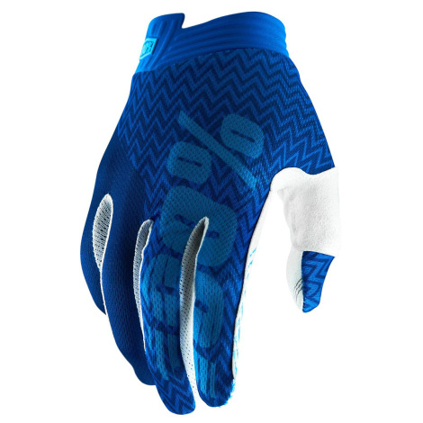 100% iTrack MTB Gloves