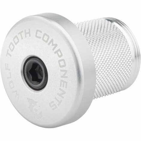 Image of Wolf Tooth Compression Plug with Integrated Spacer Stem Cap - Silver