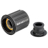 DT Swiss Ratchet EXP Ceramic 142x12mm Freehub For Shimano HG Road