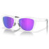 Oakley Frogskins XL Sunglasses