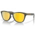 Oakley Frogskins XL Sunglasses