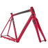 Kinesis RTD '26 Road Frameset