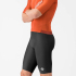 Castelli Espresso 2 Bib Shorts - SS26