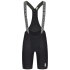 Q36.5 Dottore Pro Bib Shorts - SS26