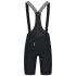Q36.5 Gregarius Essential Bib Shorts - SS26