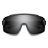 Smith Wildcat Sunglasses - ChromaPop Black Lens