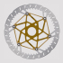 Galfer Shark Evo Disc Rotor - Centrelock