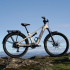Amflow TL Carbon E-Bike