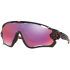 Oakley Jawbreaker Prizm Sunglasses