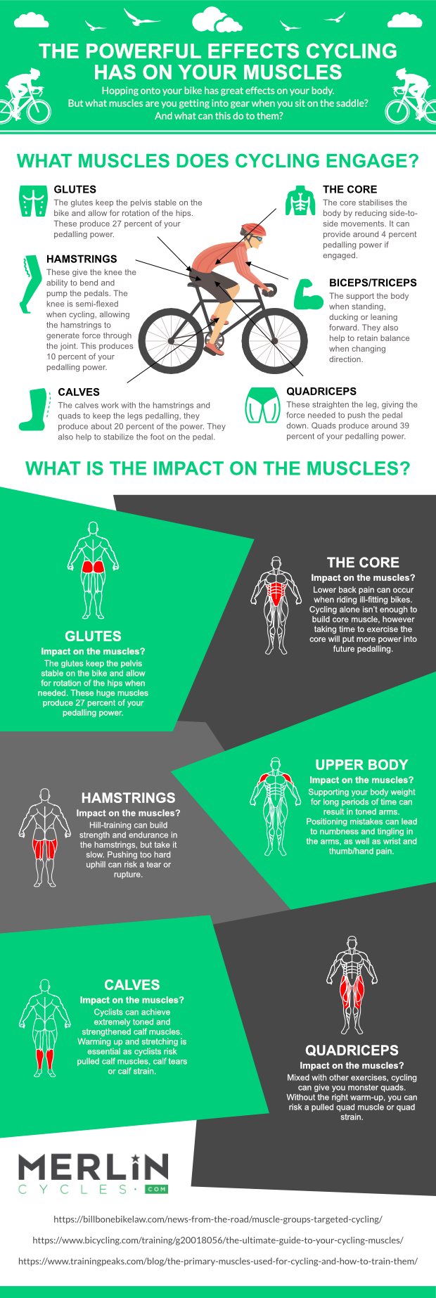 Infographic showing cycling's impact on the muscles